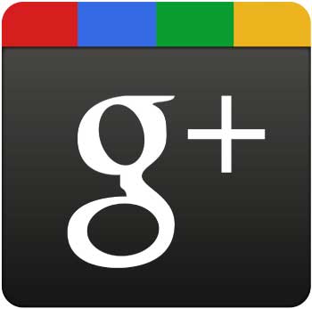 What is Google+ Local for Business